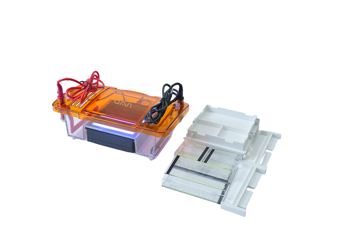 电泳仪UEA-SVL2（一体式水平电泳）